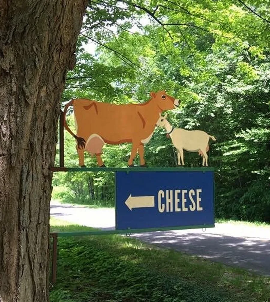 Cheese Farms
