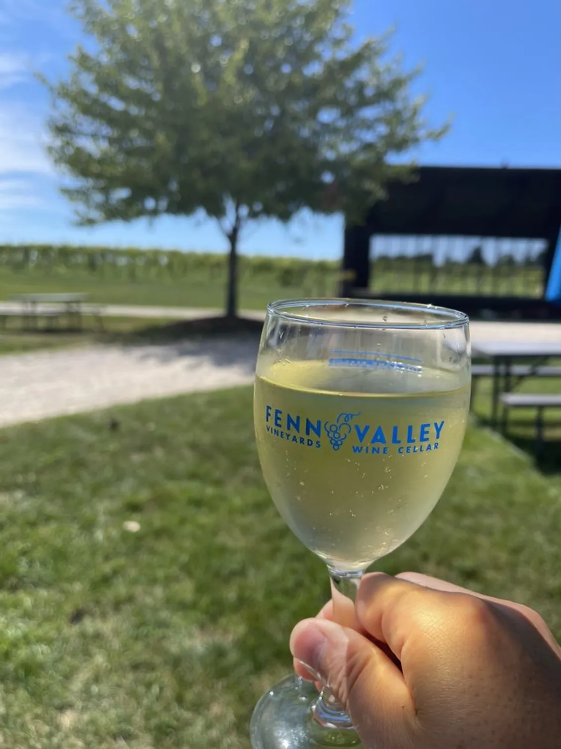 Tour local vineyards (3 mi)
