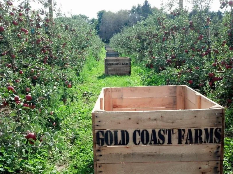 Gold Coast Farms